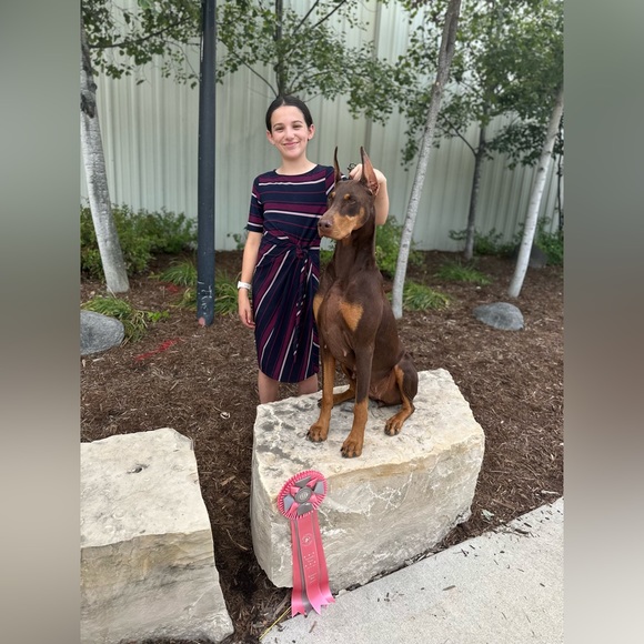 Meet your Posher, Sara - Picture 4 of 4